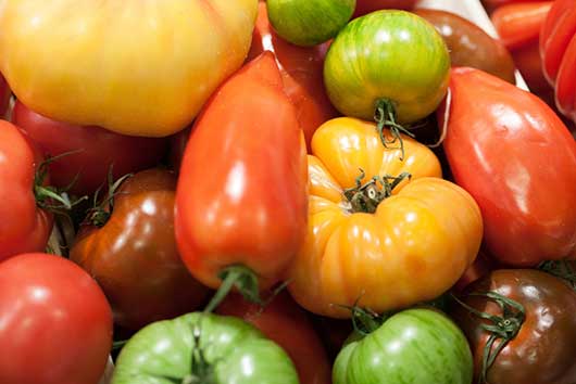Heirloom Tomatoes-MainPhoto