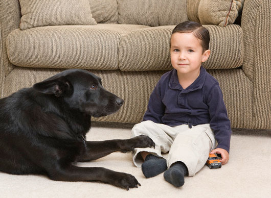 Why-Pets-Are-Great-for-Kids-MainPhoto
