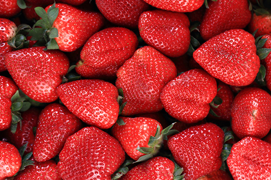 Festive Strawberry Tamales-MainPhoto