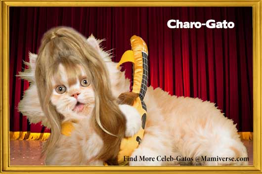 Charo-Gato Celebrates Herself!-MainPhoto