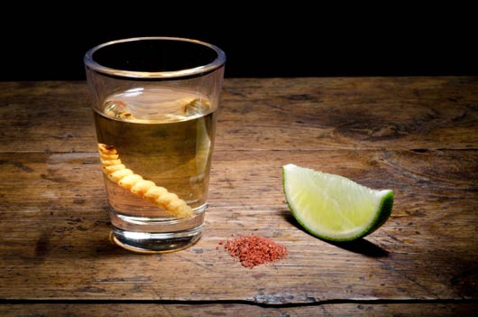 15 Weird Facts About Tequila You Never Knew-MainPhoto