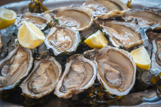 Oh,-Shuck-You-15-Things-to-Know-About-Eating-Oysters-MainPhoto