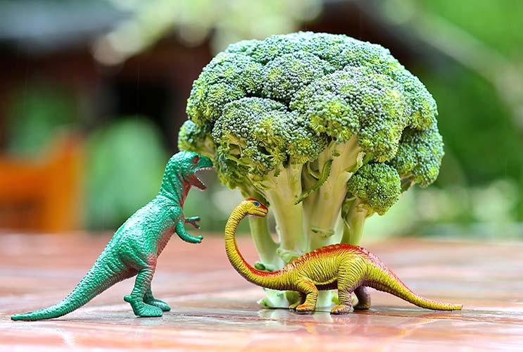 7-Kid-tested-Broccoli-Recipes-that-Always-Win-MainPhoto