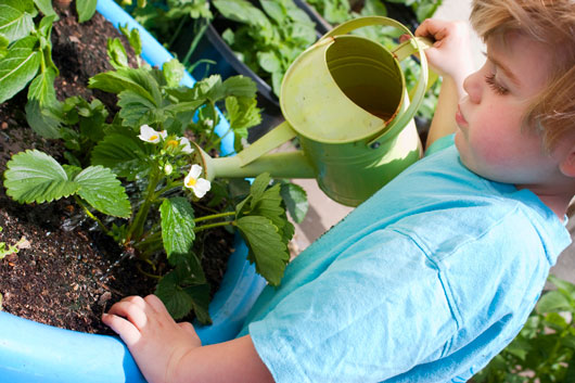 Family-Flora-Tips-on-Teaching-Kids-Gardening-Photo3
