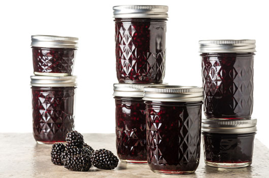 Berry-Ready-10-Blackberries-Recipes-to-Try-this-Fall-Photo6