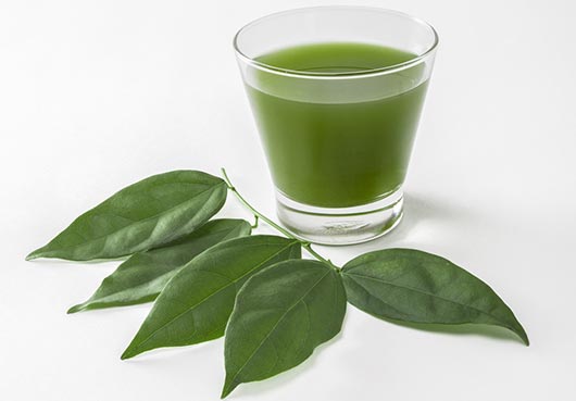What is a chlorophyll drink?