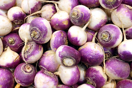 Turnt-on-Turnips-10-Turnip-Recipes-Recipes-to-Crank-Up-This-Winter-MainPhoto