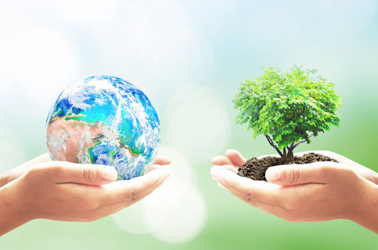 8-Meaningful-Earth-Day-Activities-Photo
