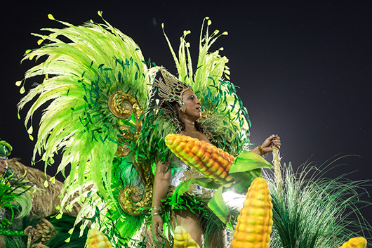 Guía para vivir el Carnaval de Rio de Janeiro-MainPhoto