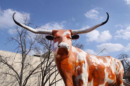 10 cosas interesantes en Texas y cómo llegar a ellas-Photo3