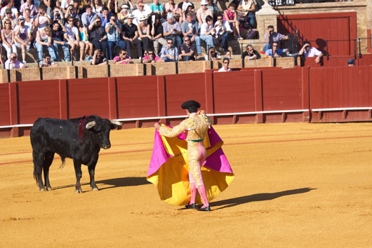 From-Toros-to-Tapas-20-Reasons-to-Fall-in-Love-with-Spain-photo2