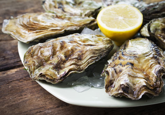 Oh-Shuck-You-15-Things-to-Know-About-Eating-OystersDKTR-photo2