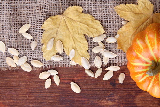 Waste-Not!-15-Things-You-Can-do-With-Pumpkin-Seeds-photo2