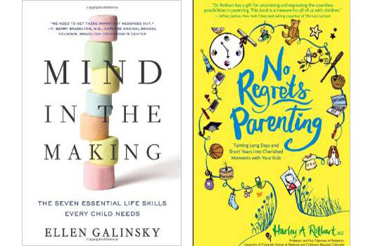Biblio-Mom-The-10-Best-Parenting-Books-Out-Now-photo8
