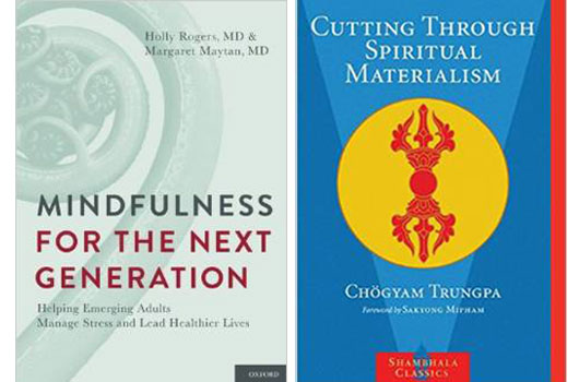 Biblio-Zen-6-of-the-Best-Meditation-Books-to-Get-You-in-the-Mood-photo5