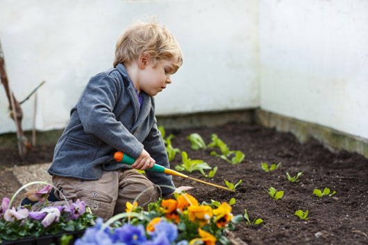 Por-el-Día-de-la-Tierra-y-el-Día-del-Árbol-Cultiva-un-jardín-con-tus-hijos-photo3