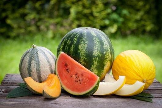 10 recetas con sandía y melón para disfrutarlas este verano-MainPhoto