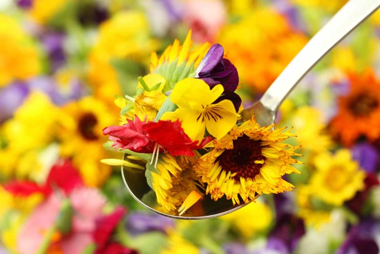 10 postres hermosos que argumentan a favor de las flores comestibles-MainPhoto