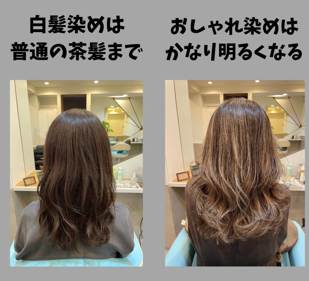 ヘアカラーと白髪染めの違いは何？脱色力と染料の真相と2026年基準