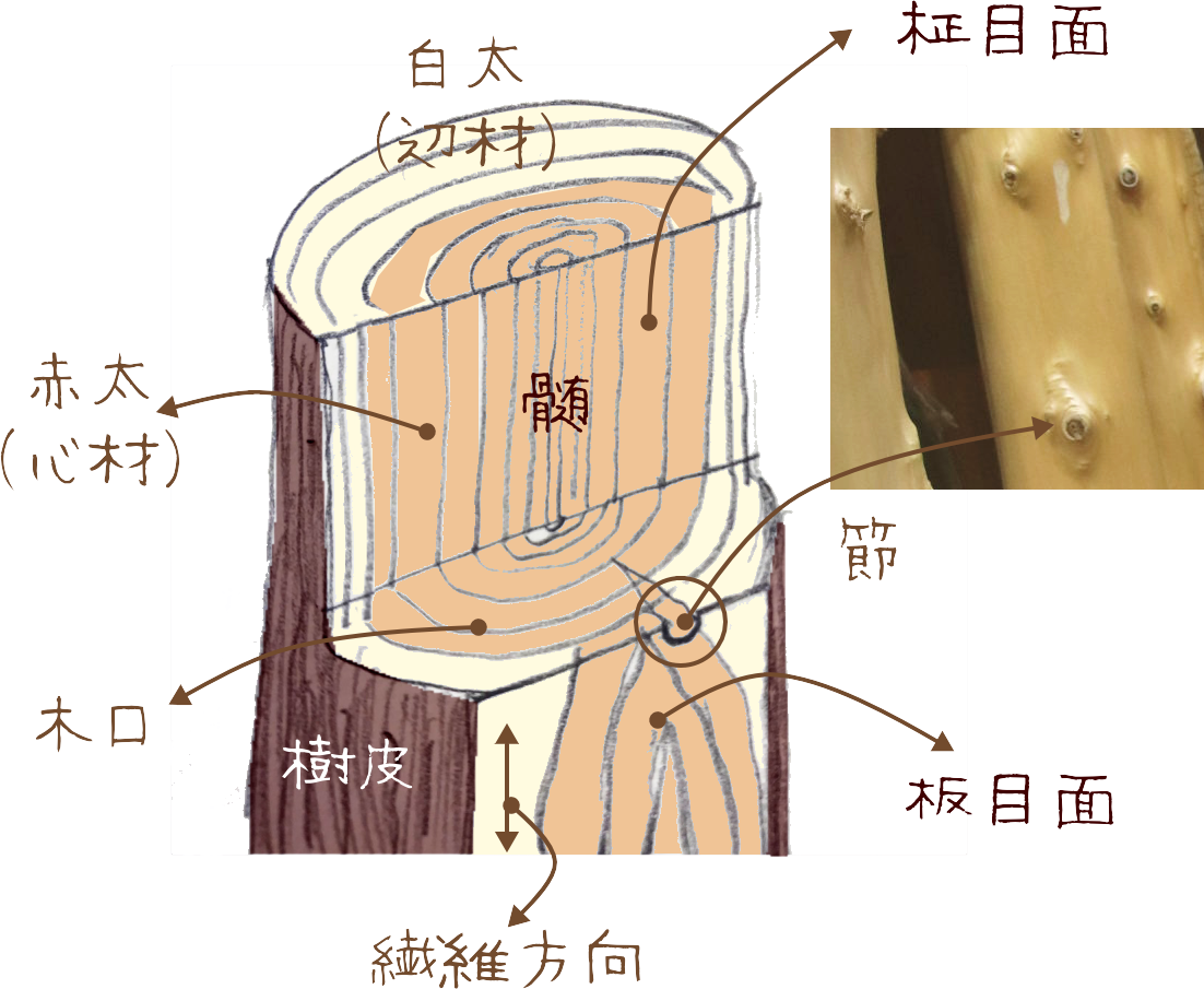 瀬織津姫の生まれ変わり？特徴と覚醒サイン・龍神が導く使命の真相