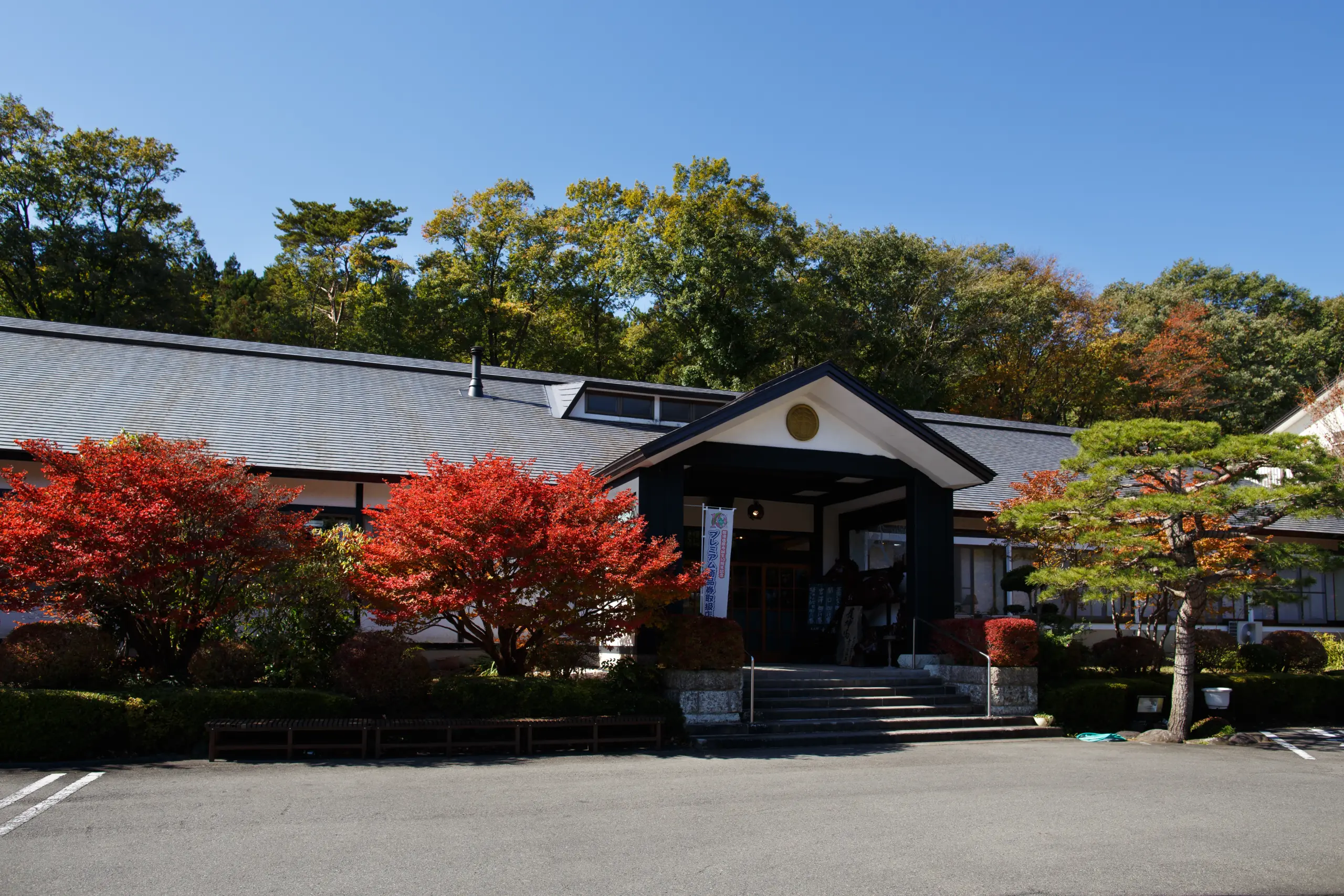 奥那須大正村幸乃湯温泉の評判は本当？名物打たせ湯の魅力と日帰り攻略完全版