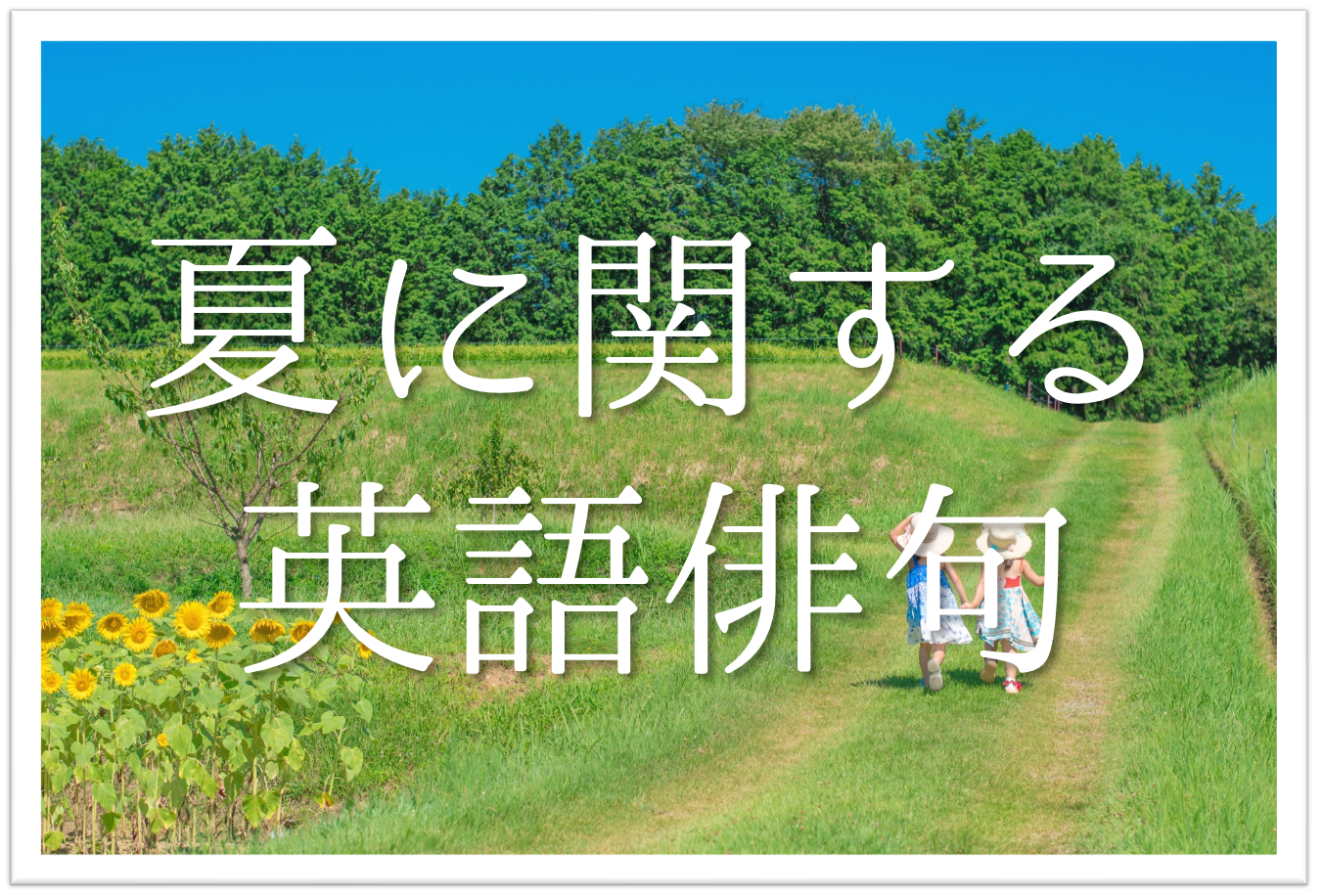 中学生の夏の俳句攻略！部活や日常から一瞬で作れる簡単ルールと入賞例