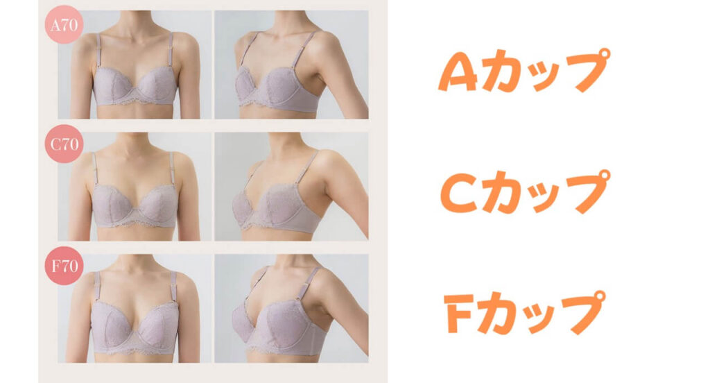Eカップの大きさはどれくらい？重さや見た目の例えと真相を徹底解剖