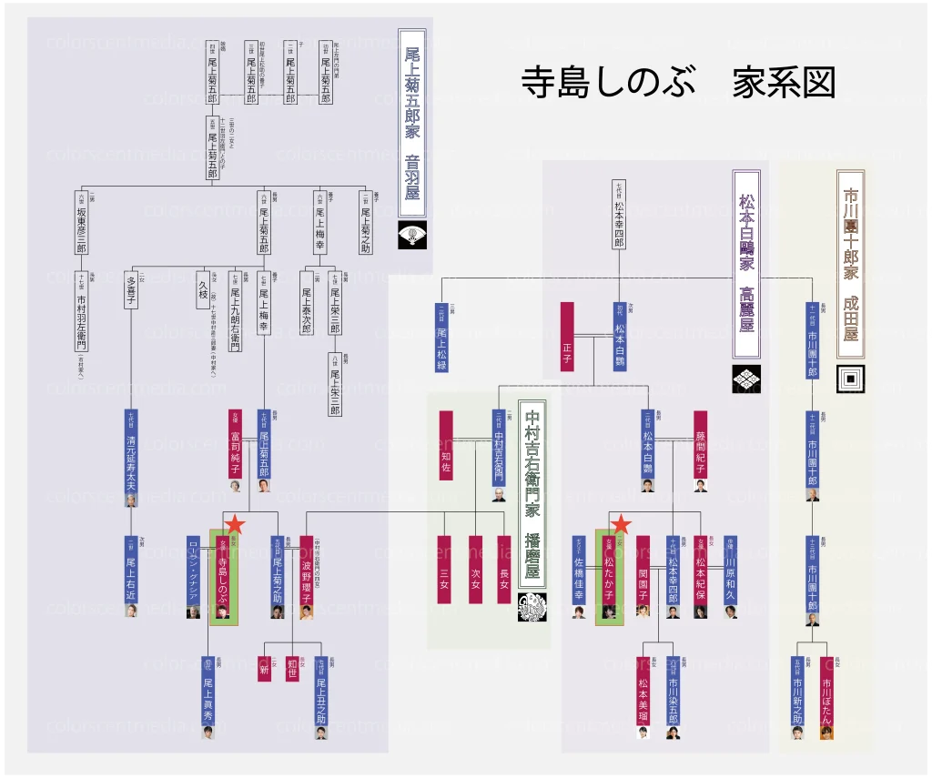 音羽屋の血脈と宿命！寺島しのぶの家系図から紐解く新世代の覚醒