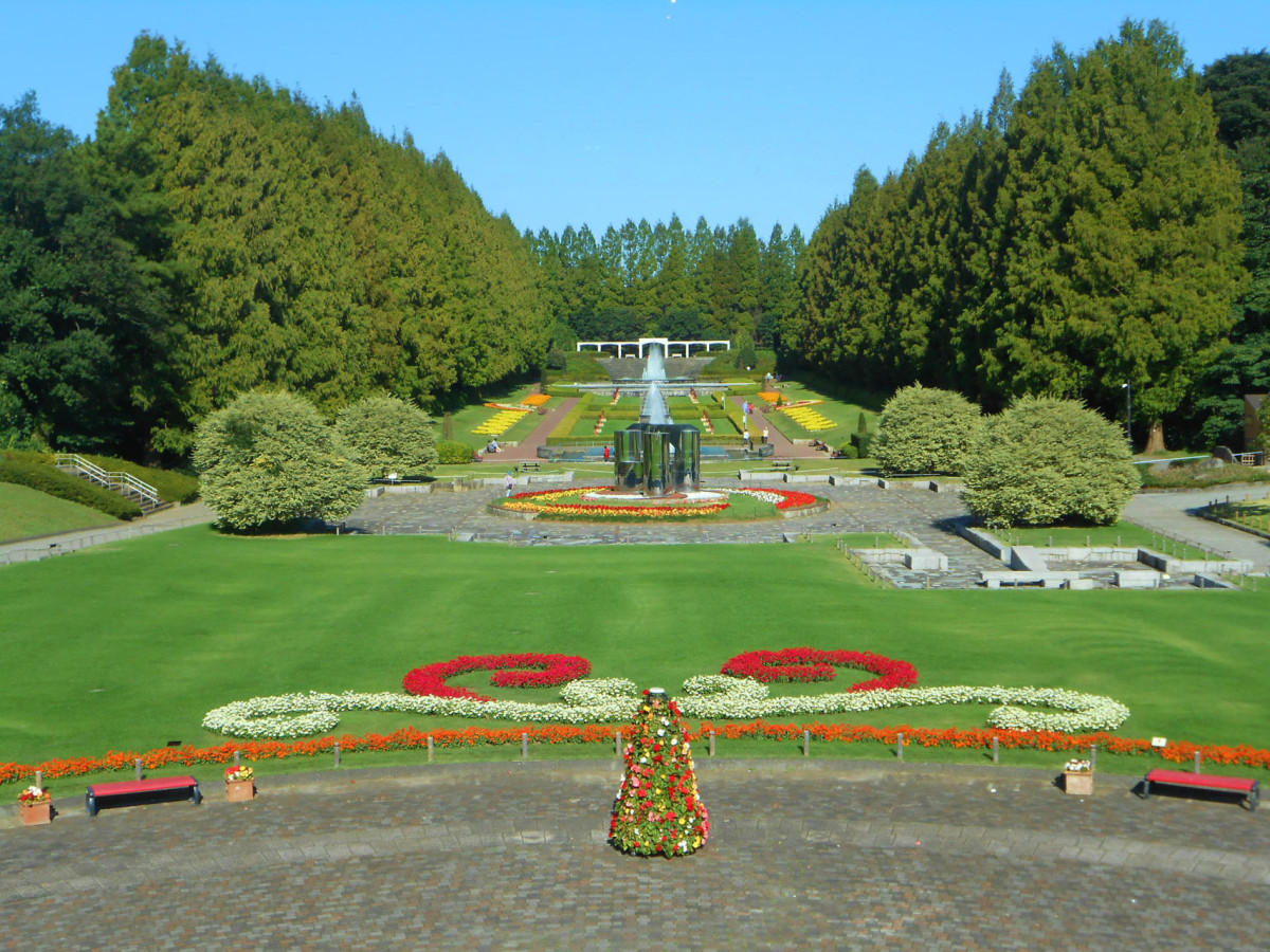 神奈川県立相模原公園の真価と麻溝公園との決定的な違いを徹底解明