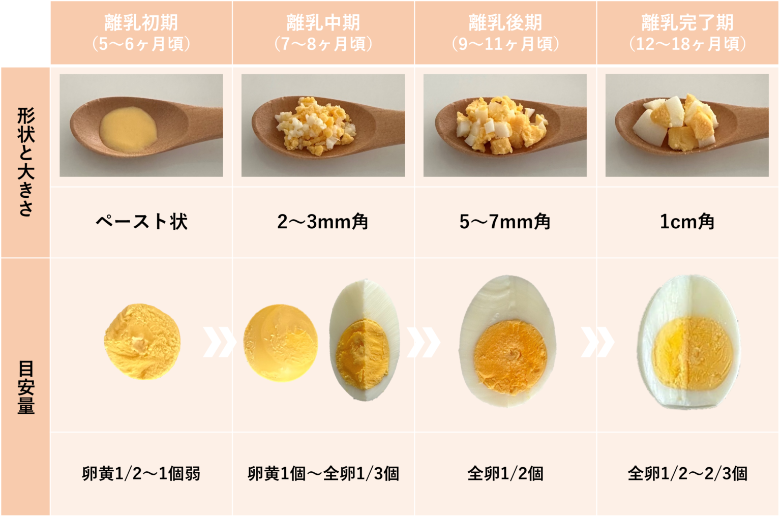 離乳食の卵は毎日あげて平気？専門医が明かす安全な進め方と適量