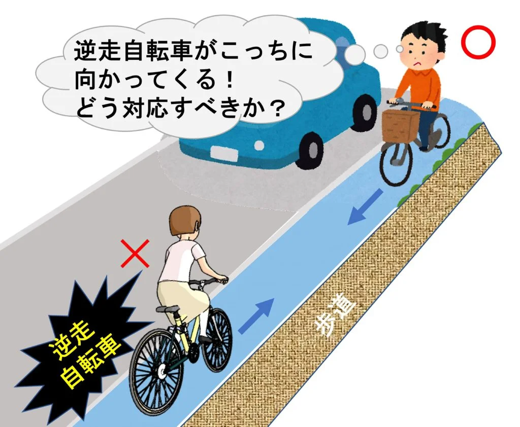 自転車の歩道逆走は違法？知らなきゃ危険な2026年最新の罰則と過失割合