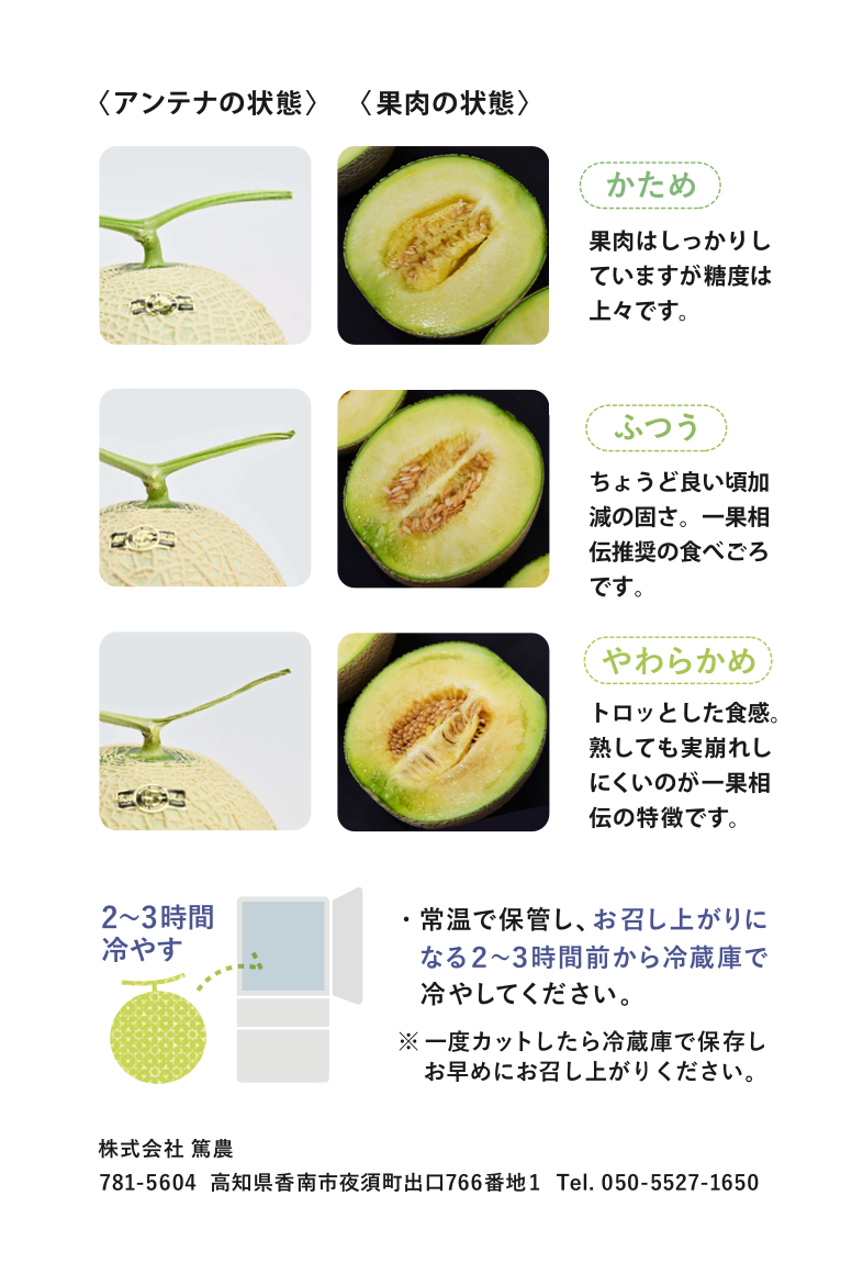 メロンの食べ頃を見極める完熟サイン｜固い・苦い失敗を防ぐプロの技