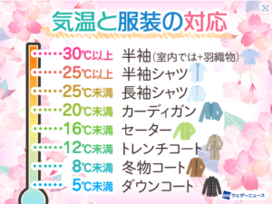 【話題】 ダウン 何 度 から ファン必見の最新情報 #619