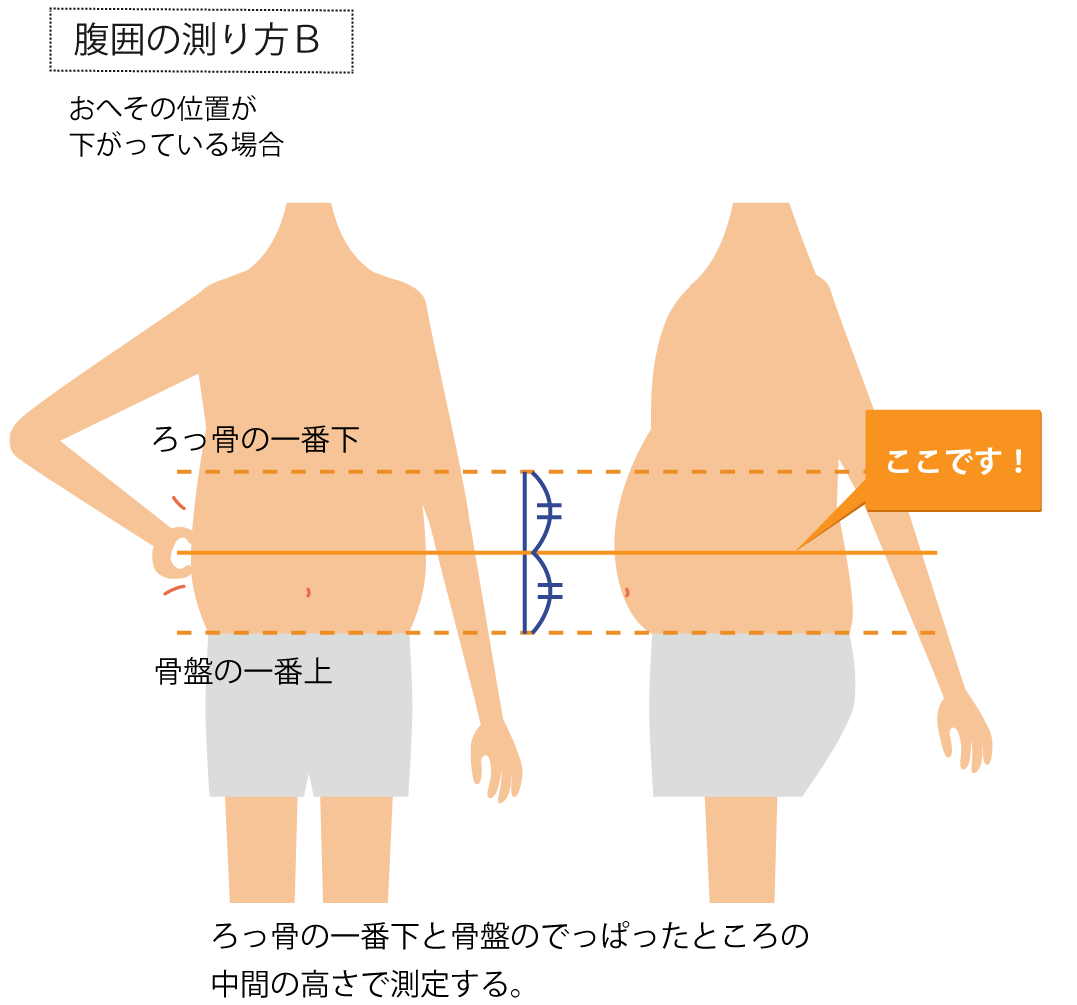 【2026年最新】正しい腹囲の測り方と基準値｜ウエストとの違いを徹底解説