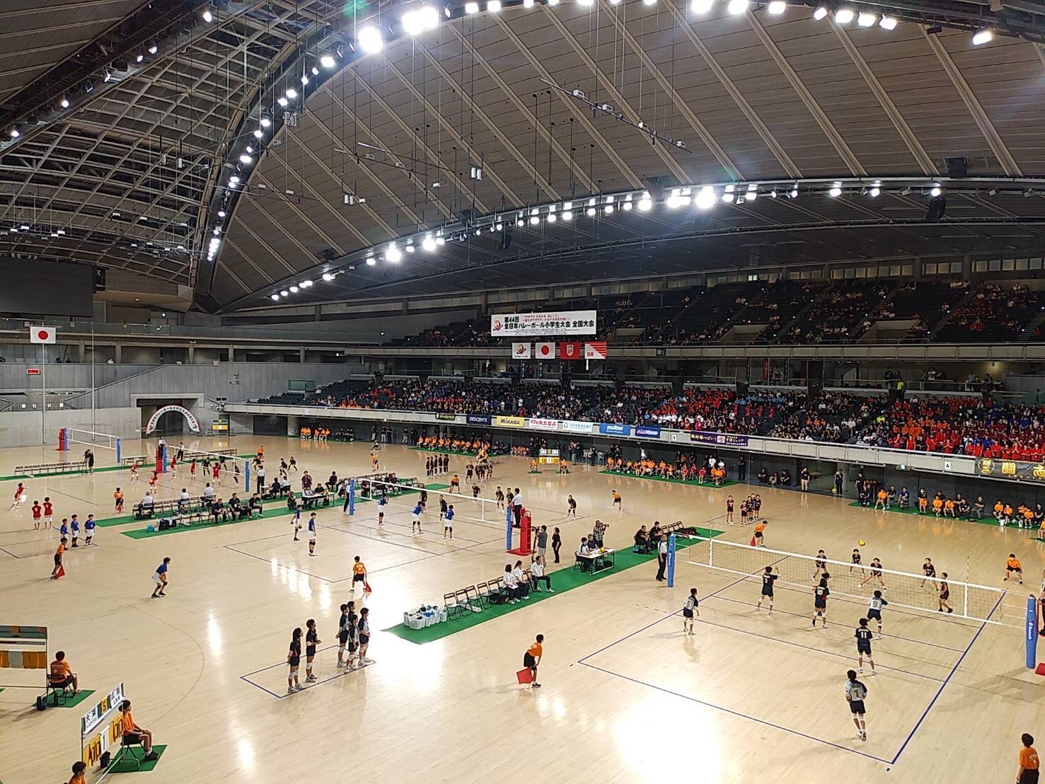小学生バレー全国大会2026の真相｜見直しの噂と強豪の条件を解剖