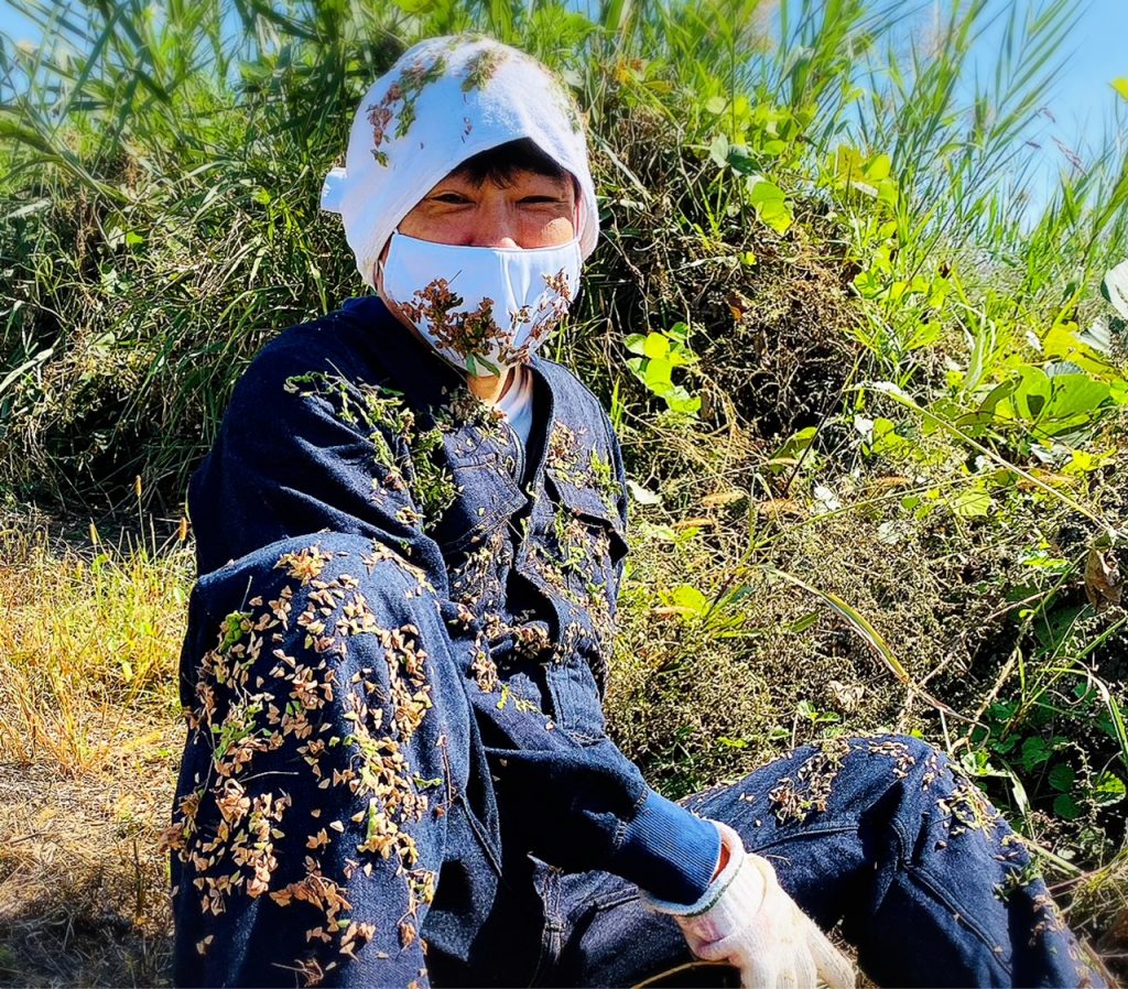 くっつき虫を一瞬で落とす裏ワザ！手でむしると服が破れる理由と対策