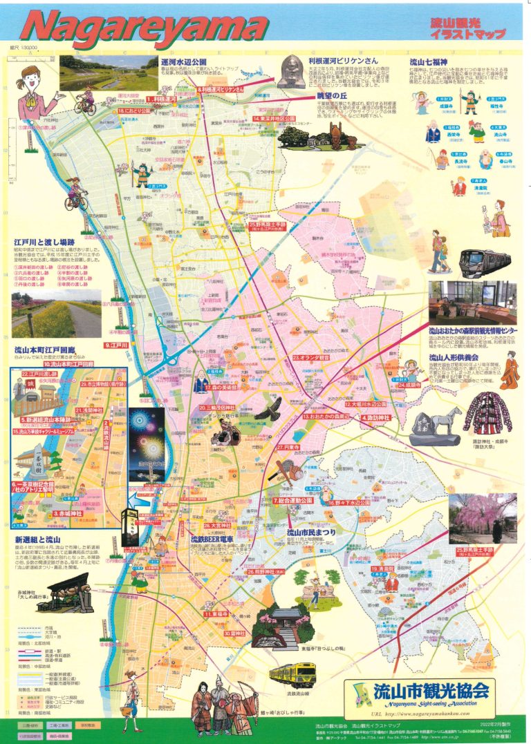 【2026年最新】流山運転免許センターの混雑回避術！マイナ免許証対応・駐車場・日曜更新を徹底解説