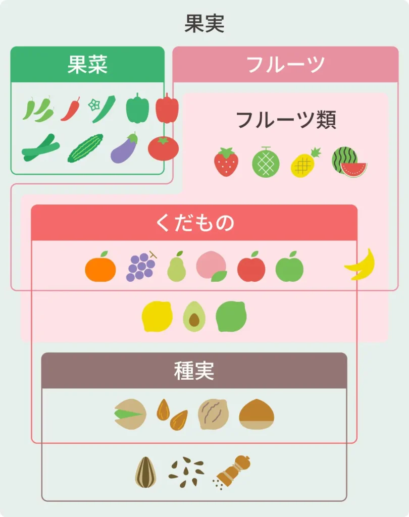 イチゴは果物ではない？農水省と植物学が明かす野菜と果物の境界線