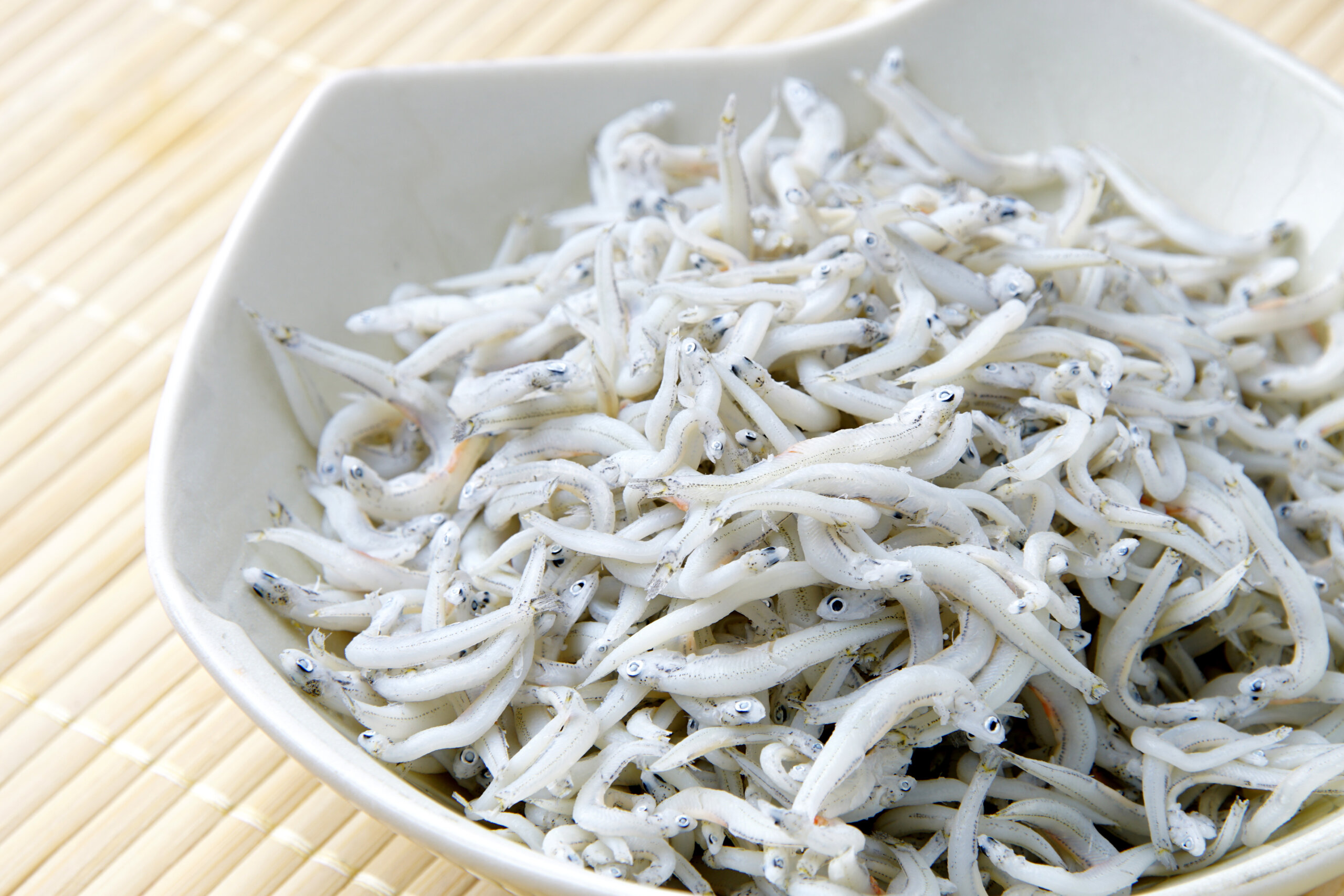 朝獲れ「生しらす」の衝撃——湘南・腰越で起きているグルメ革命の最前線【2026年現地ルポ】