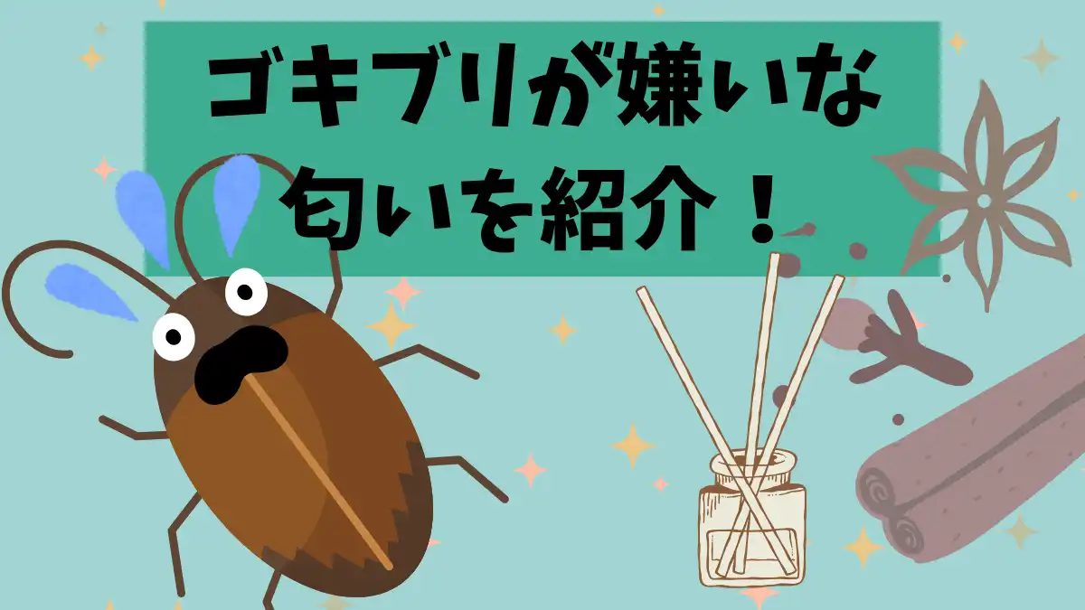 ゴキブリが嫌いな匂い決定版！ハッカ油の真相と2026年最新対策