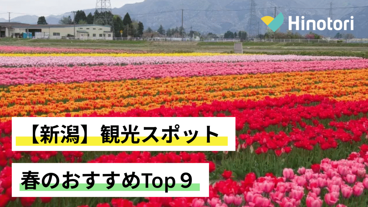 新潟大学医歯学総合病院の受診ガイド！紹介状なし費用や予約の注意点