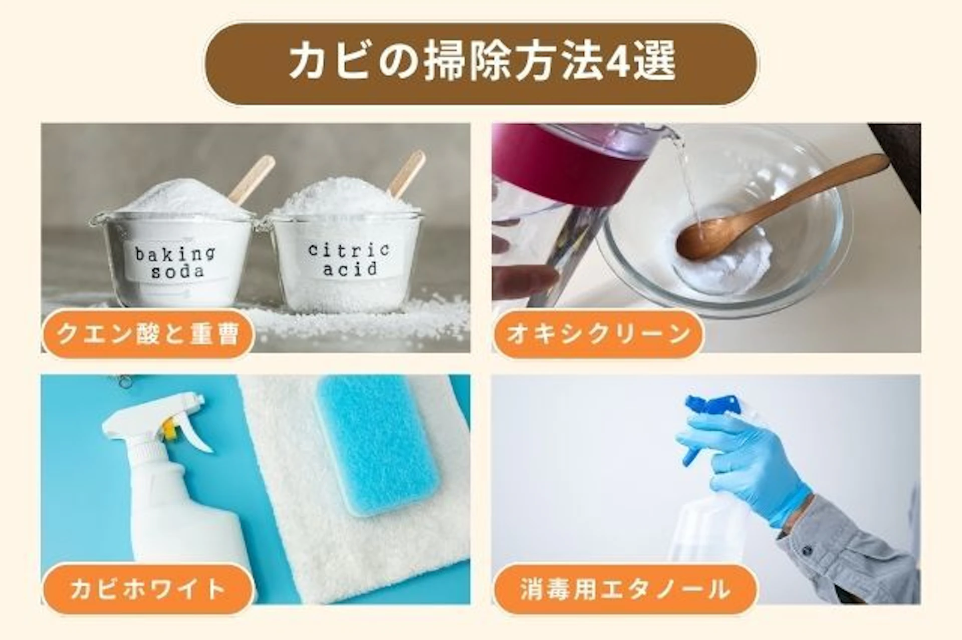 水拭きは逆効果！プロが教える壁のカビの落とし方と再発防止ワザ