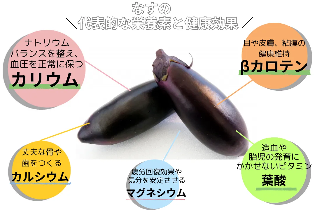 なすの脂肪燃焼パワー解禁！最新医学が暴く劇的ダイエットの真実