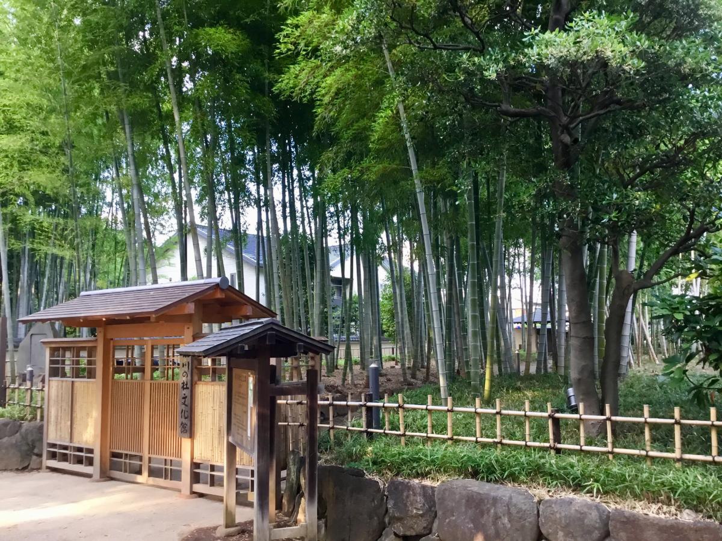氷川の杜文化館の全貌を徹底解剖！能舞台と茶室の魅力・利用手順