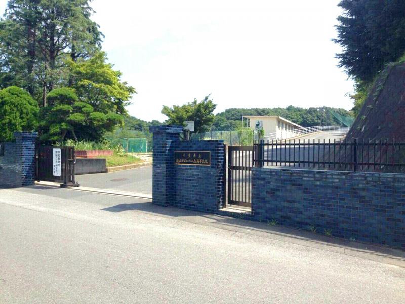 【2026最新】流山おおたかの森高校はなぜ人気？倍率・校則の真相を徹底解説