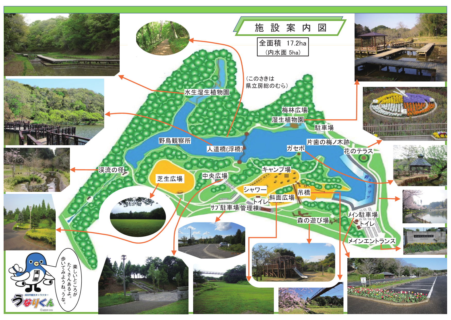坂田ヶ池総合公園の魅力を徹底解剖！格安キャンプと混雑攻略の全貌
