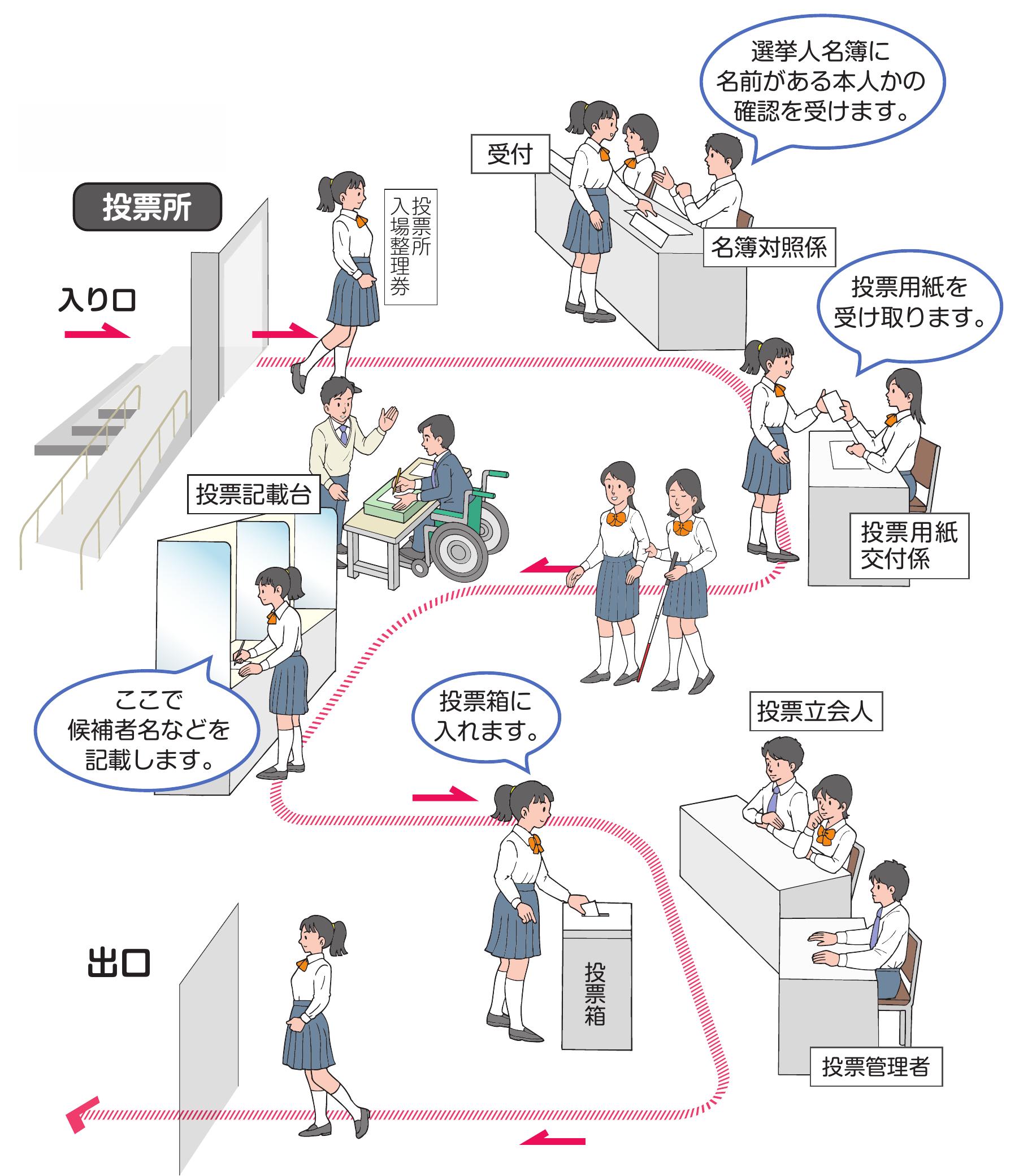 選挙の選び方がわからない人へ！3分で決まる候補者比較と投票基準