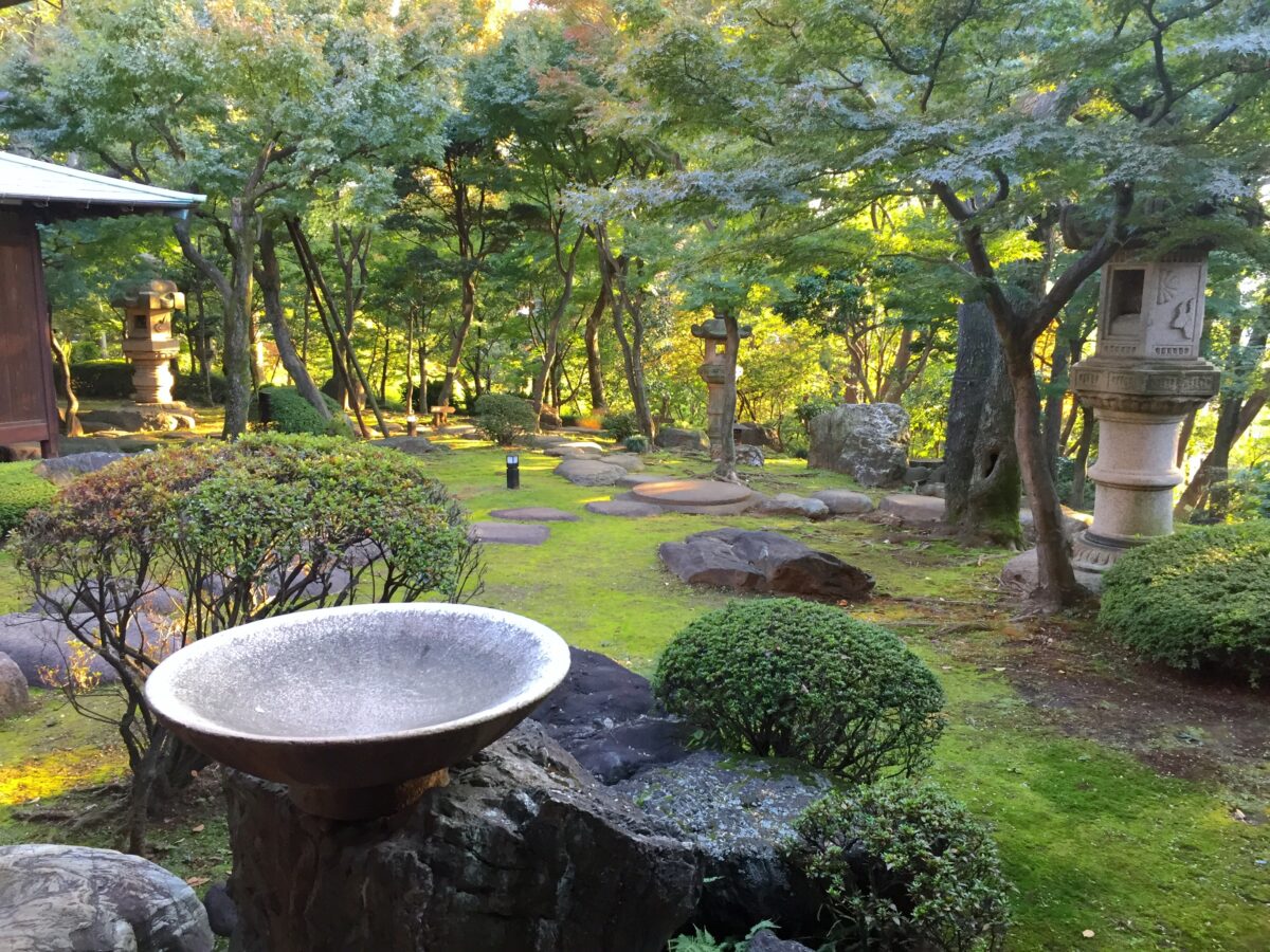 代官山の隠れ名所「旧朝倉家住宅」の魅力と見どころ完全ガイド
