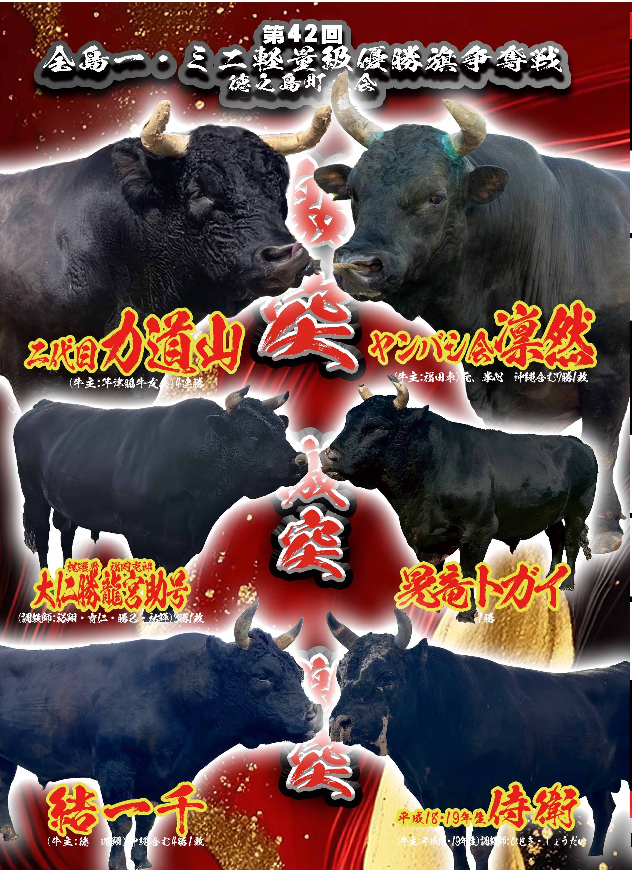 島中が熱狂する徳之島闘牛の魅力とは？2026年日程と観戦ガイド