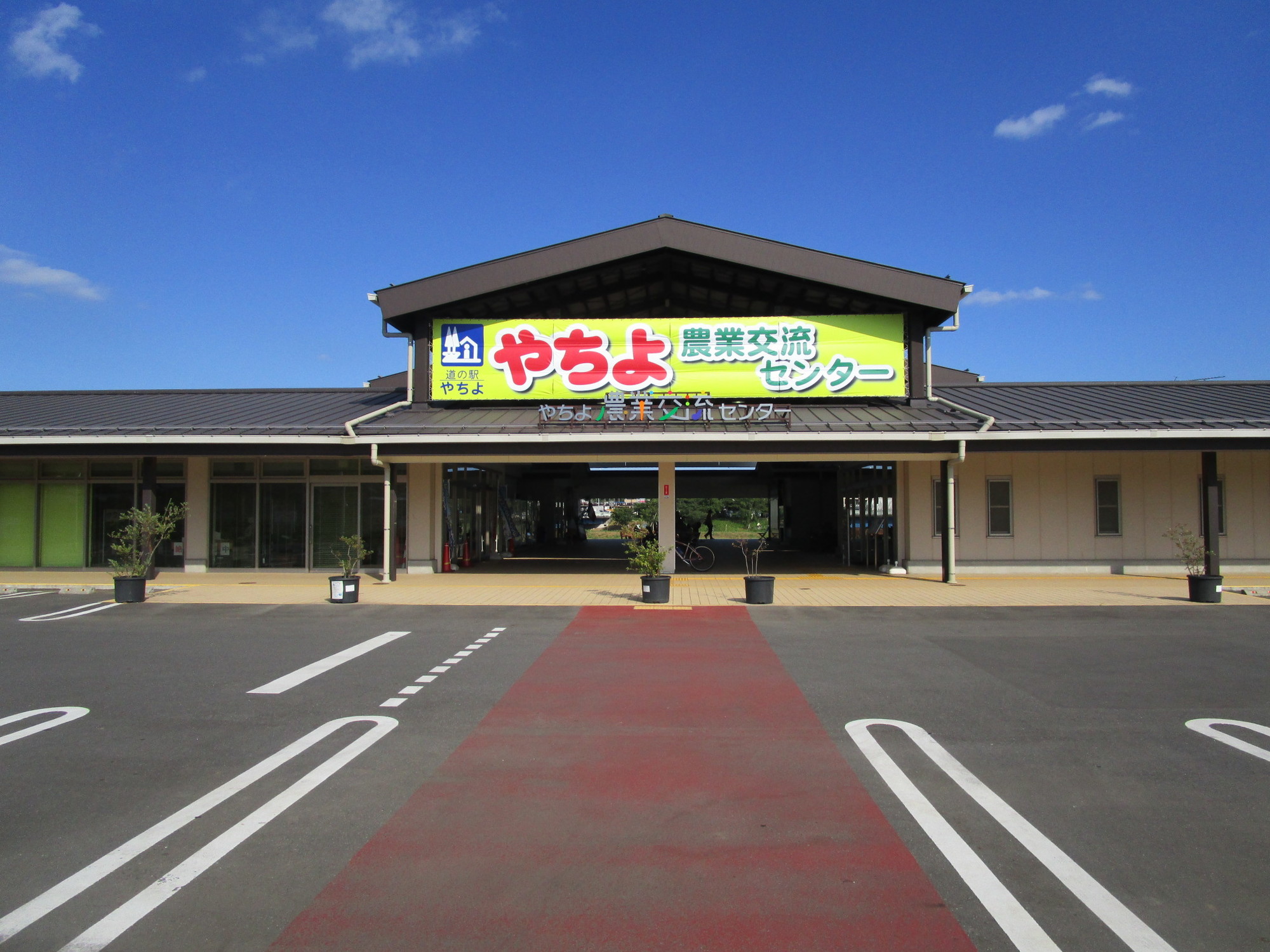 道の駅やちよが週末に行列する理由とは？混雑回避と名物を現地徹底検証